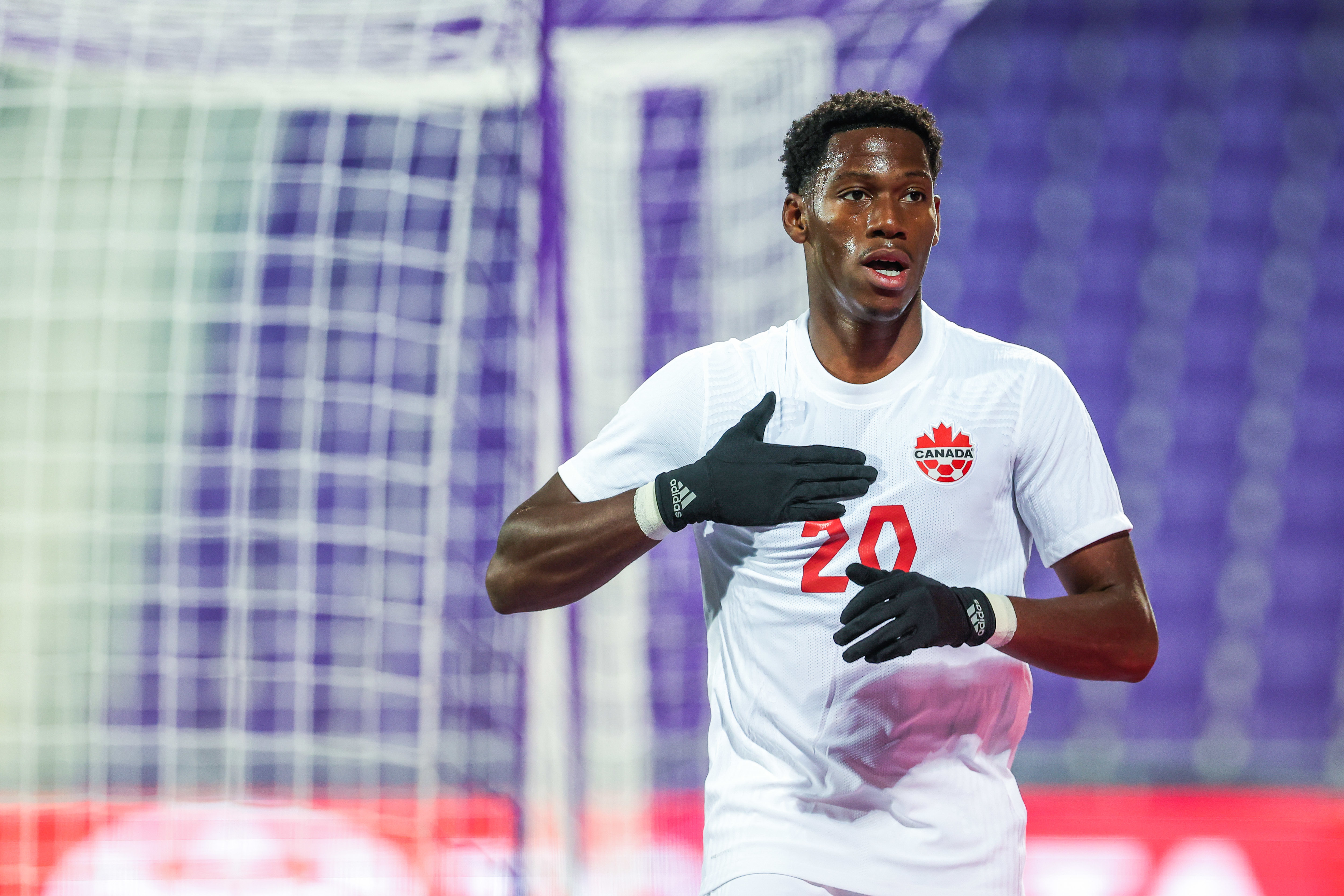 David buteur avec le Canada