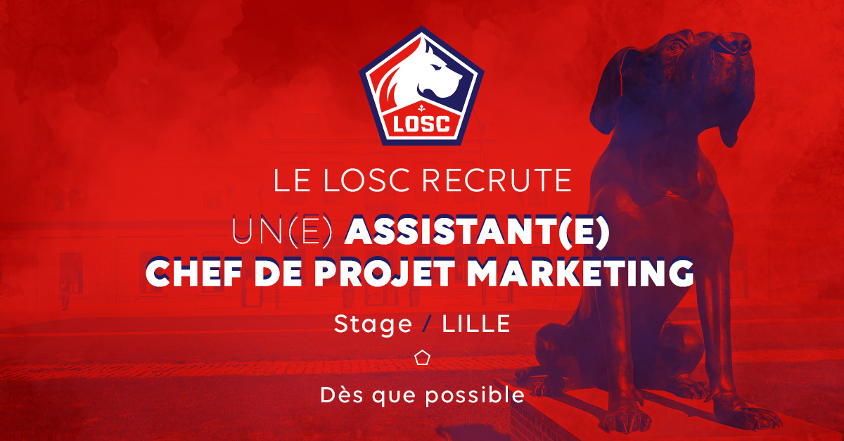Le LOSC recrute un(e) Assistant(e) Chef de Projet Marketing