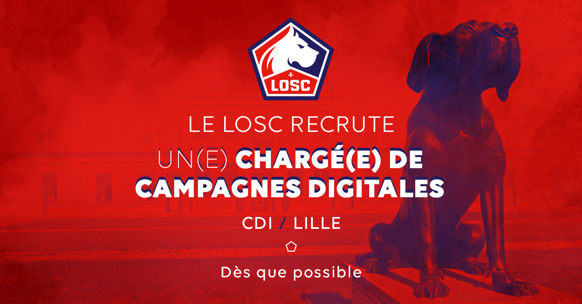 Le LOSC recrute un(e) Chargé(e) de Campagnes Digitales