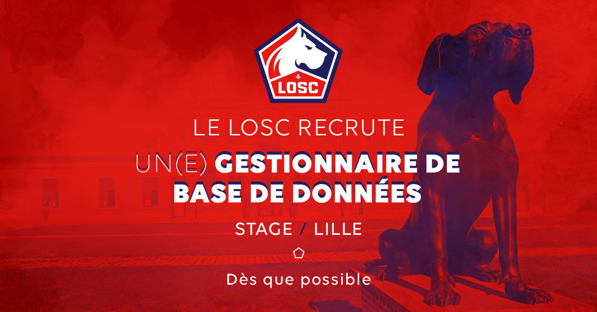 offre-emploi-gestionnaire-base-donnees