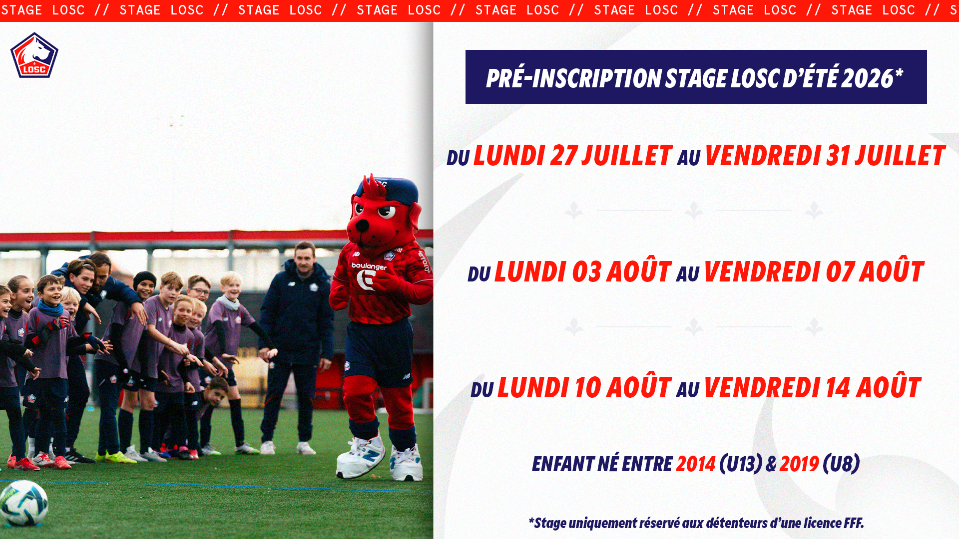 Stages LOSC